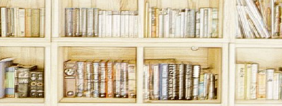 Book Shelves